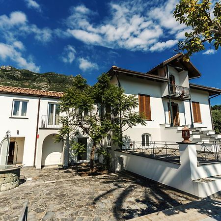 Tenuta Calitto Wine Resort E Spa Isquia Exterior foto