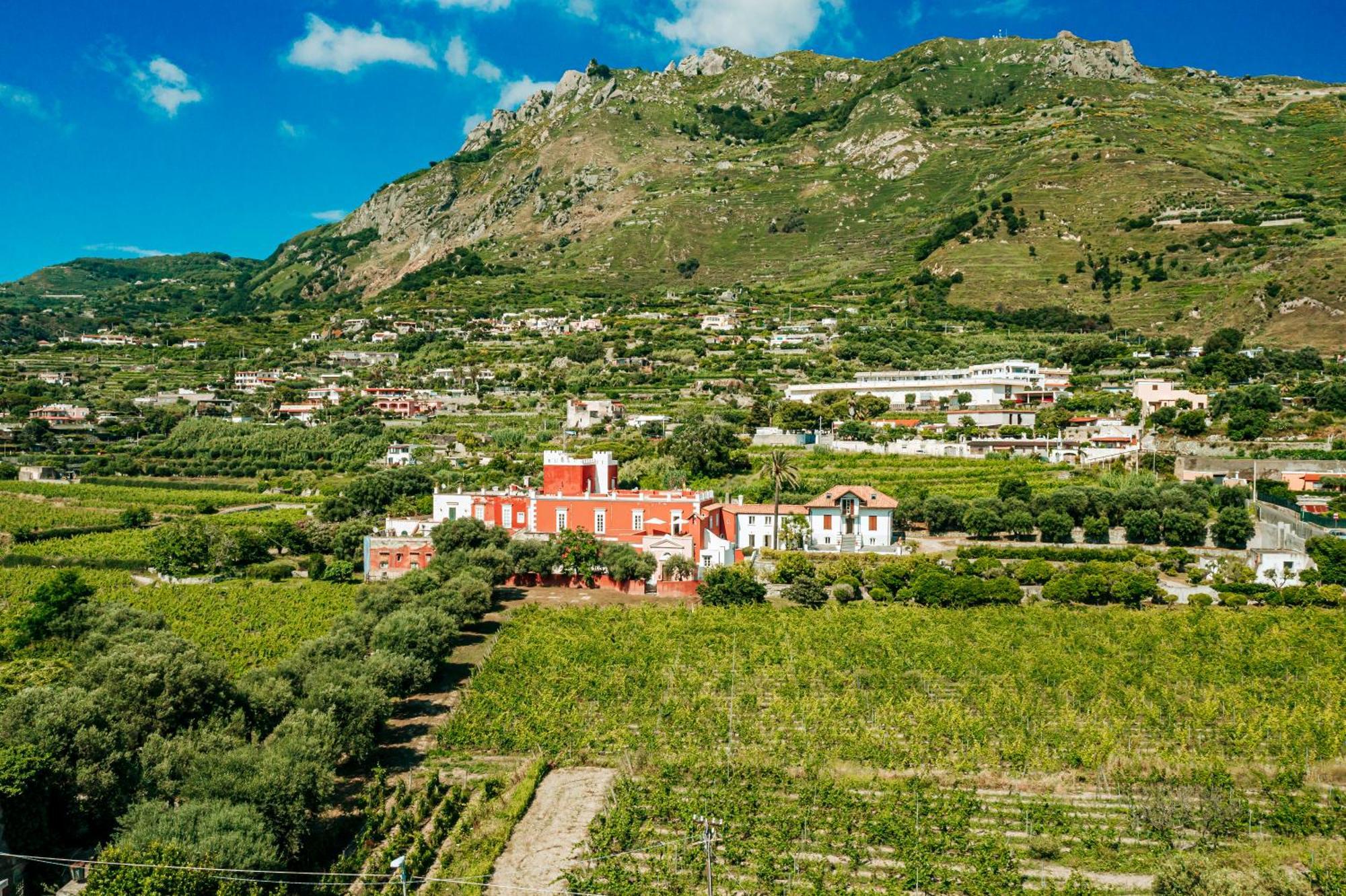 Tenuta Calitto Wine Resort E Spa Isquia Exterior foto